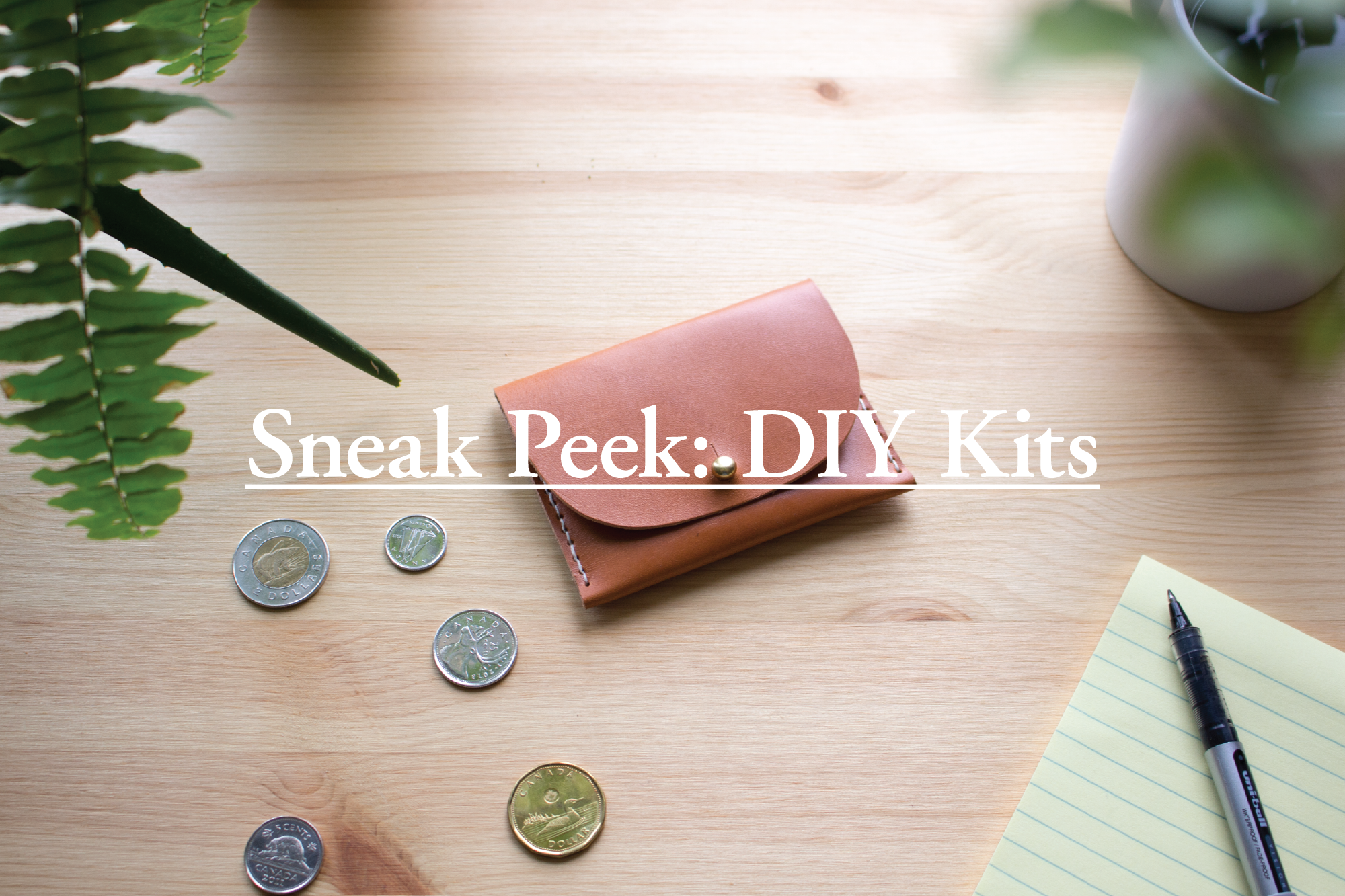 SNEAK PEEK: DIY KITS